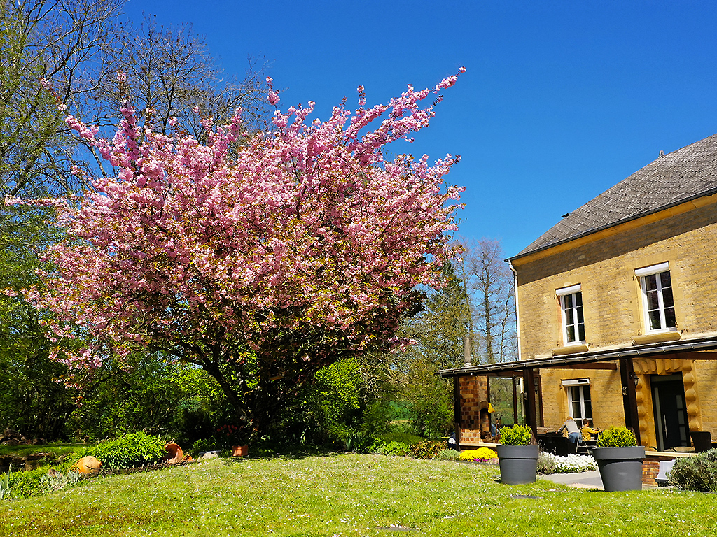 vue du moulin de Warnécourt